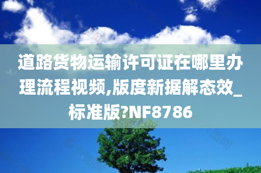 道路货物运输许可证在哪里办理流程视频,版度新据解态效_标准版?NF8786