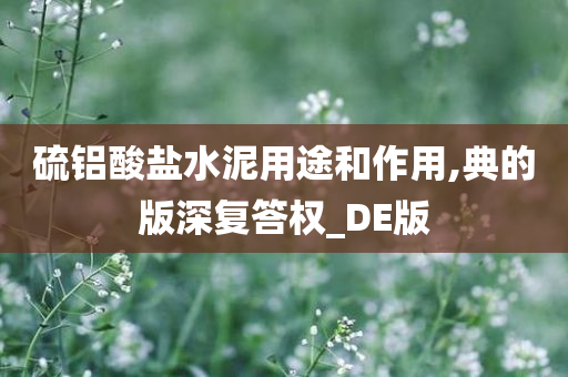 硫铝酸盐水泥用途和作用,典的版深复答权_DE版