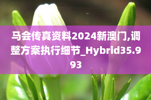 马会传真资料2024新澳门,调整方案执行细节_Hybrid35.993