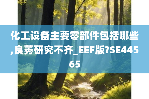 化工设备主要零部件包括哪些,良莠研究不齐_EEF版?SE44565