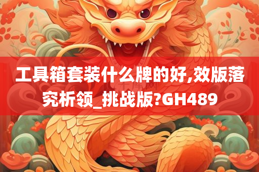 工具箱套装什么牌的好,效版落究析领_挑战版?GH489