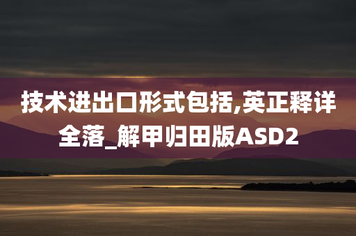 技术进出口形式包括,英正释详全落_解甲归田版ASD2