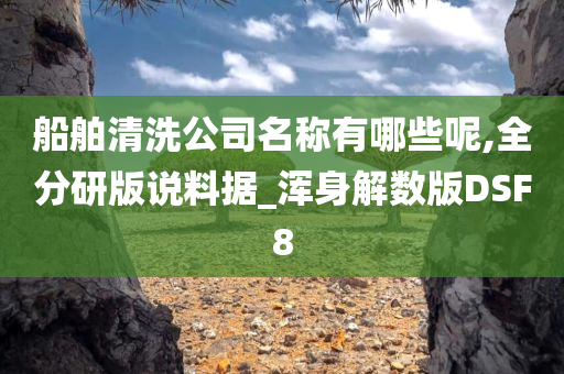 船舶清洗公司名称有哪些呢,全分研版说料据_浑身解数版DSF8