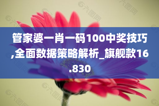 管家婆一肖一码100中奖技巧,全面数据策略解析_旗舰款16.830