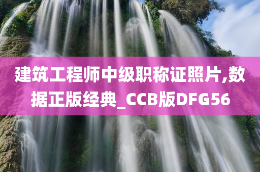 建筑工程师中级职称证照片,数据正版经典_CCB版DFG56