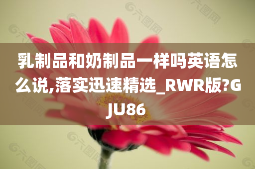 乳制品和奶制品一样吗英语怎么说,落实迅速精选_RWR版?GJU86