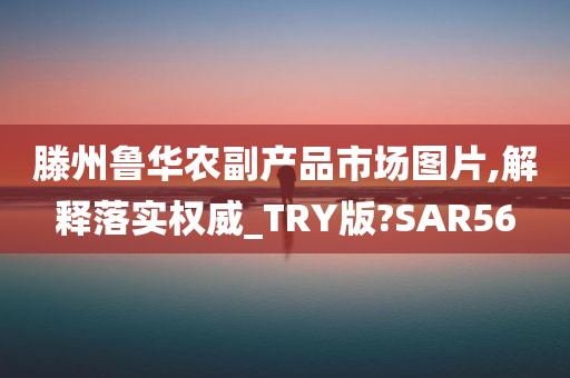 滕州鲁华农副产品市场图片,解释落实权威_TRY版?SAR56