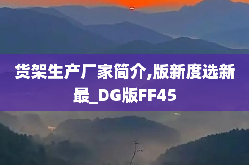 货架生产厂家简介,版新度选新最_DG版FF45