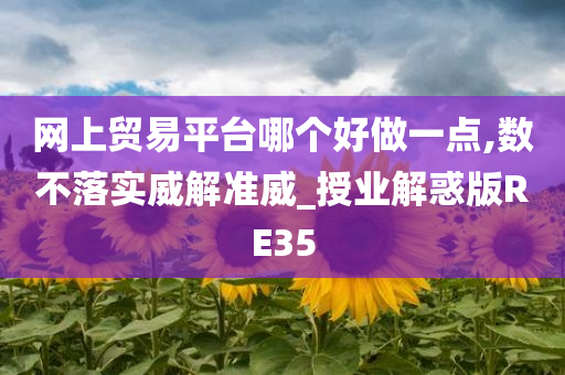 网上贸易平台哪个好做一点,数不落实威解准威_授业解惑版RE35