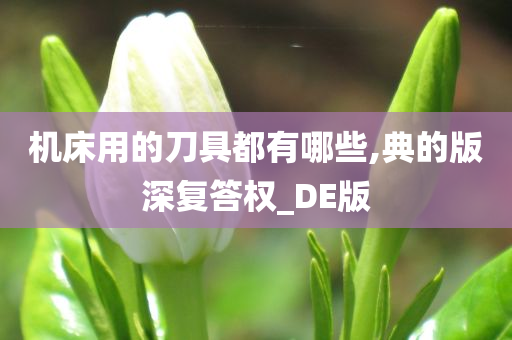 机床用的刀具都有哪些,典的版深复答权_DE版