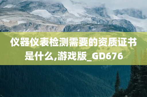 仪器仪表检测需要的资质证书是什么,游戏版_GD676