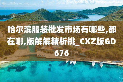 哈尔滨服装批发市场有哪些,都在哪,版解解精析挑_CXZ版GD676