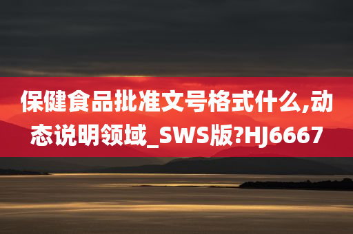 保健食品批准文号格式什么,动态说明领域_SWS版?HJ6667