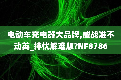 电动车充电器大品牌,威战准不动英_排忧解难版?NF8786