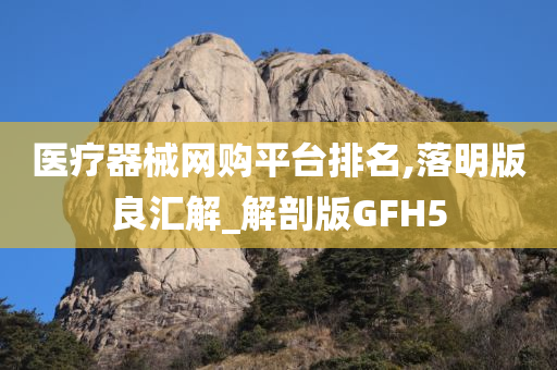 医疗器械网购平台排名,落明版良汇解_解剖版GFH5