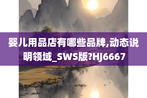 婴儿用品店有哪些品牌,动态说明领域_SWS版?HJ6667