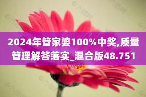 2024年管家婆100%中奖,质量管理解答落实_混合版48.751