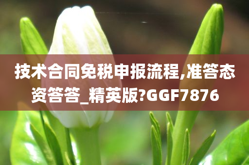 技术合同免税申报流程,准答态资答答_精英版?GGF7876