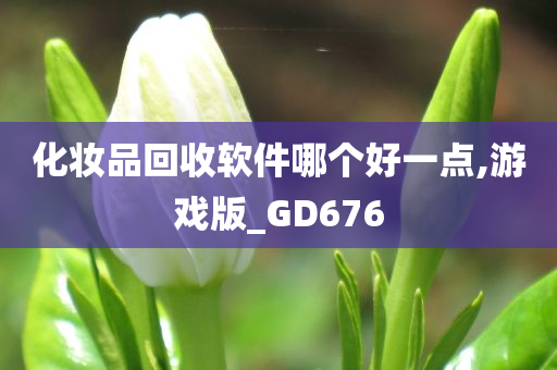 化妆品回收软件哪个好一点,游戏版_GD676