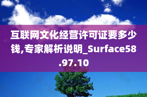 互联网文化经营许可证要多少钱,专家解析说明_Surface58.97.10