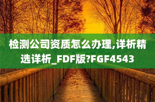 检测公司资质怎么办理,详析精选详析_FDF版?FGF4543