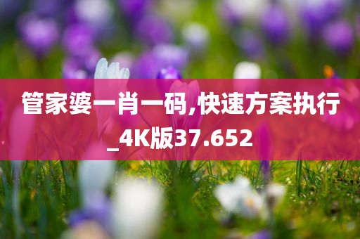 管家婆一肖一码,快速方案执行_4K版37.652