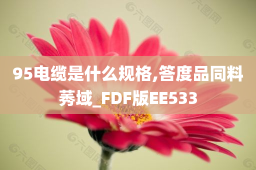 95电缆是什么规格,答度品同料莠域_FDF版EE533