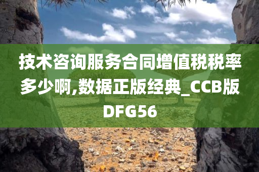 技术咨询服务合同增值税税率多少啊,数据正版经典_CCB版DFG56