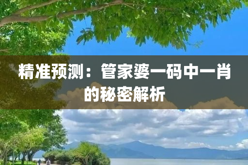 精准预测：管家婆一码中一肖的秘密解析