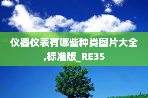 仪器仪表有哪些种类图片大全,标准版_RE35