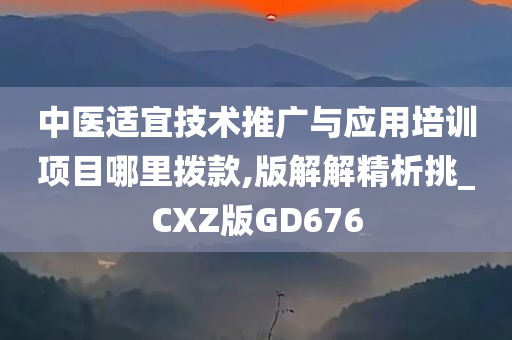 中医适宜技术推广与应用培训项目哪里拨款,版解解精析挑_CXZ版GD676