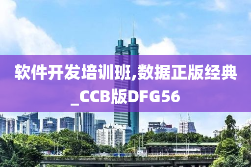 软件开发培训班,数据正版经典_CCB版DFG56