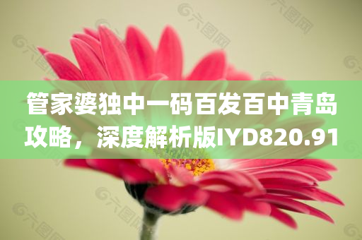 管家婆独中一码百发百中青岛攻略，深度解析版IYD820.91