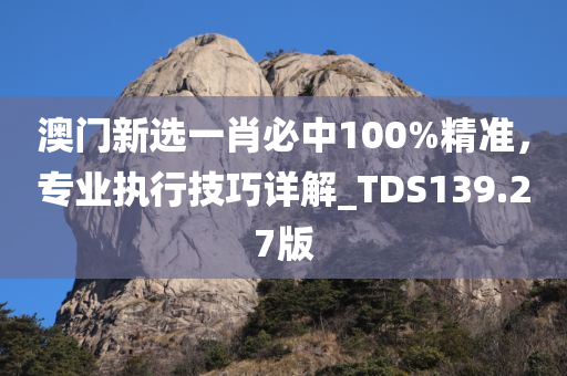 澳门新选一肖必中100%精准，专业执行技巧详解_TDS139.27版