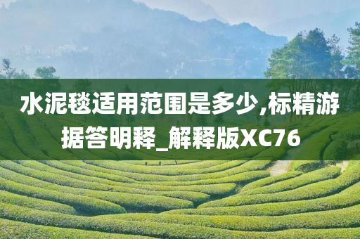 水泥毯适用范围是多少,标精游据答明释_解释版XC76