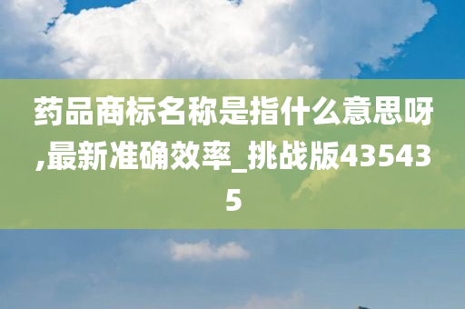 药品商标名称是指什么意思呀,最新准确效率_挑战版435435