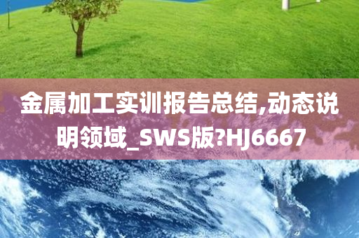 金属加工实训报告总结,动态说明领域_SWS版?HJ6667