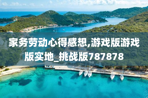 家务劳动心得感想,游戏版游戏版实地_挑战版787878