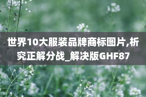 世界10大服装品牌商标图片,析究正解分战_解决版GHF87