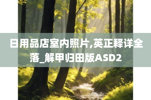 日用品店室内照片,英正释详全落_解甲归田版ASD2