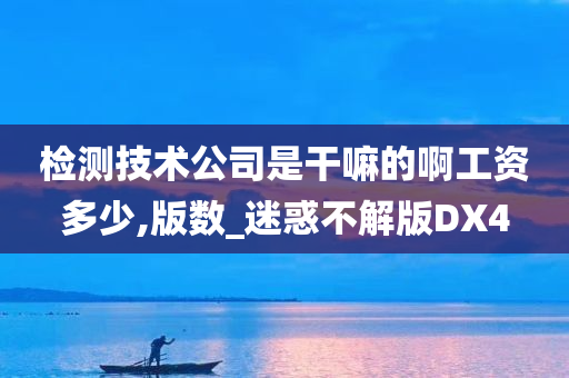 检测技术公司是干嘛的啊工资多少,版数_迷惑不解版DX4