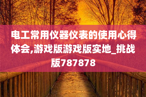 电工常用仪器仪表的使用心得体会,游戏版游戏版实地_挑战版787878