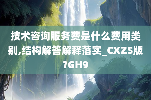 技术咨询服务费是什么费用类别,结构解答解释落实_CXZS版?GH9