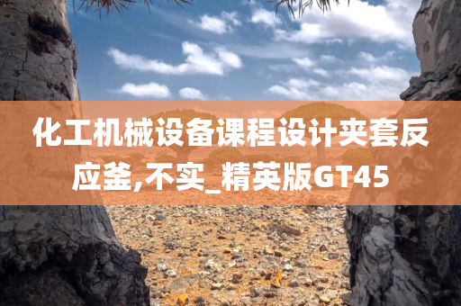 化工机械设备课程设计夹套反应釜,不实_精英版GT45