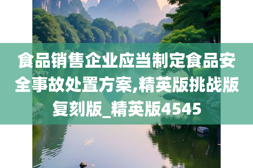 食品销售企业应当制定食品安全事故处置方案,精英版挑战版复刻版_精英版4545