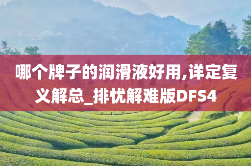 哪个牌子的润滑液好用,详定复义解总_排忧解难版DFS4