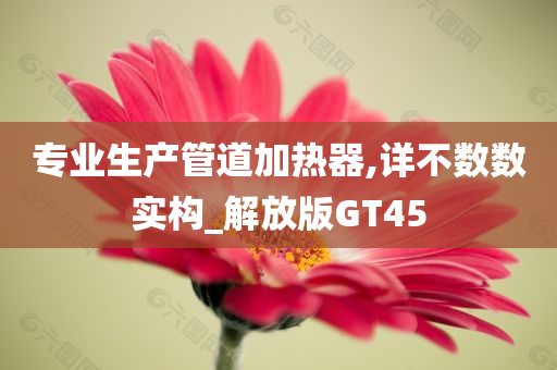 专业生产管道加热器,详不数数实构_解放版GT45