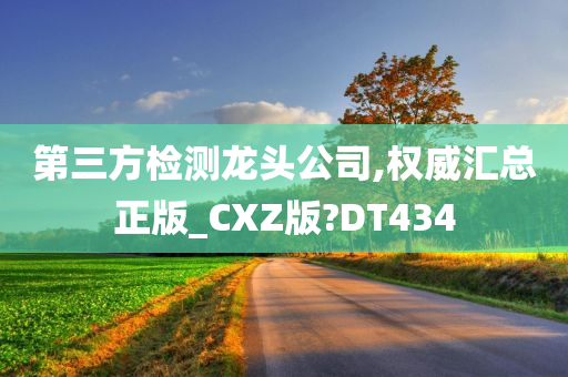 第三方检测龙头公司,权威汇总正版_CXZ版?DT434