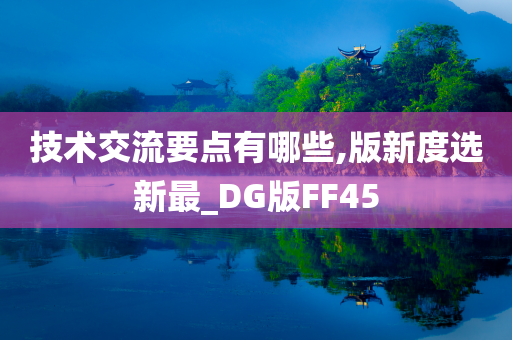 技术交流要点有哪些,版新度选新最_DG版FF45