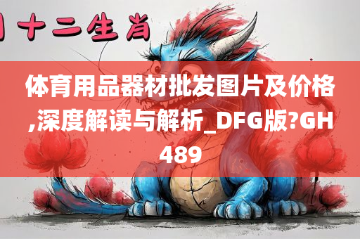 体育用品器材批发图片及价格,深度解读与解析_DFG版?GH489